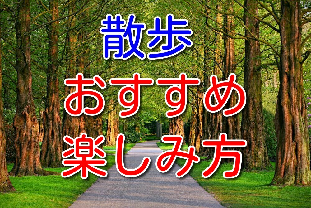 散歩大好き人間である僕が散歩の楽しみ方を3つだけ紹介する