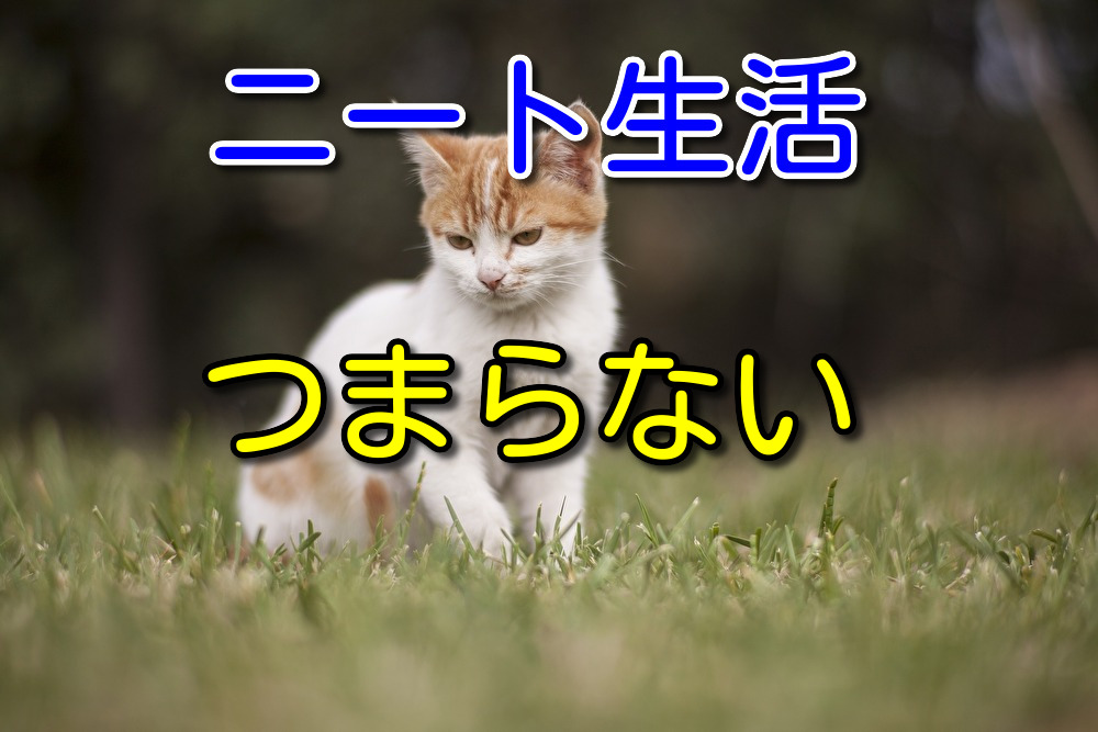 ニート生活は全く楽しくないです【2年半ニートやっていた男が語る】