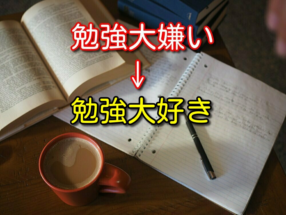 【社会人向け】勉強が大嫌いだった僕が勉強を大好きになった3つの理由