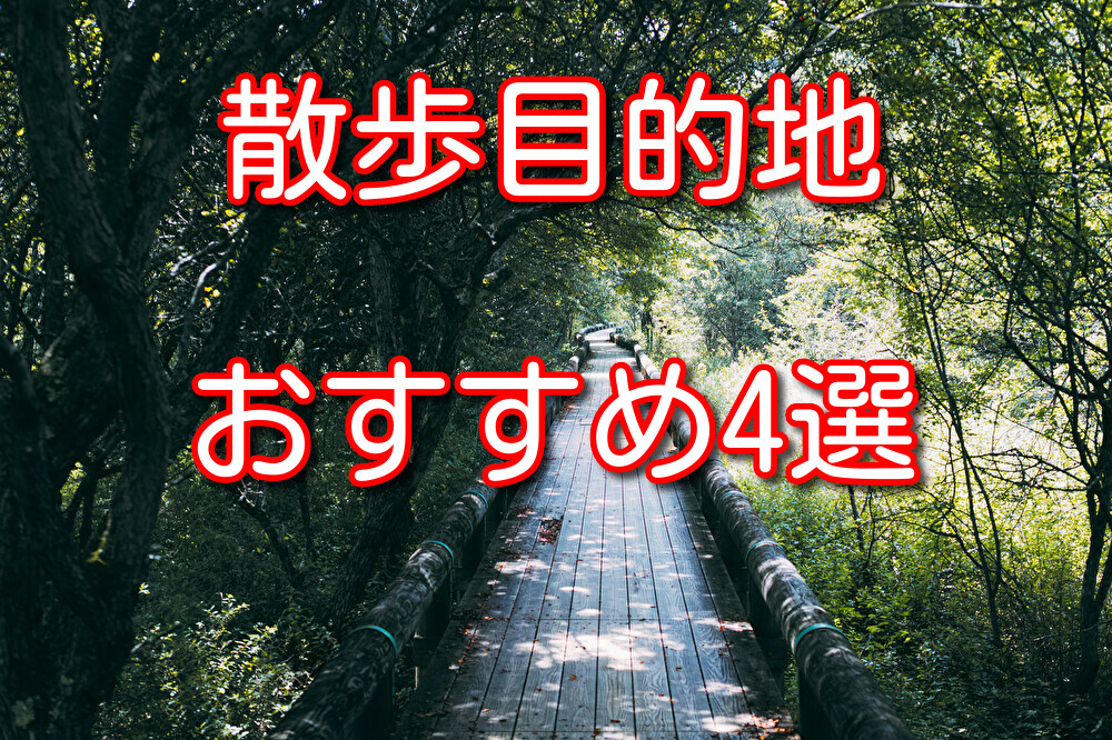 【近場限定】散歩の目的地におすすめの場所4選を大の散歩好きが解説