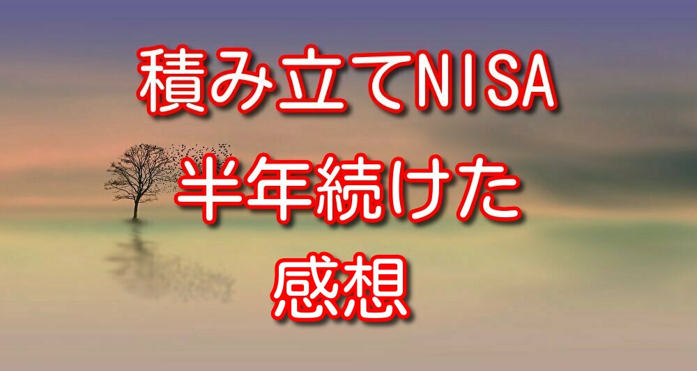 【積立NISA利用】投資信託を半年間積み立てた感想【購入銘柄も紹介】