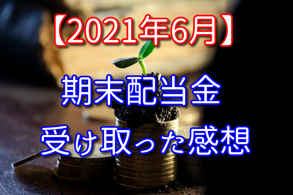 【2021年6月】株式の期末配当金を受け取った感想と銘柄紹介【日米】