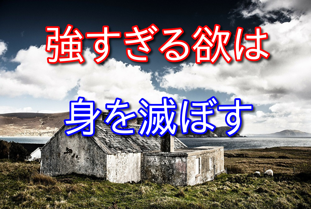 人間の欲は底なし沼だとつくづく思うそこそこの欲で満足するのが1番