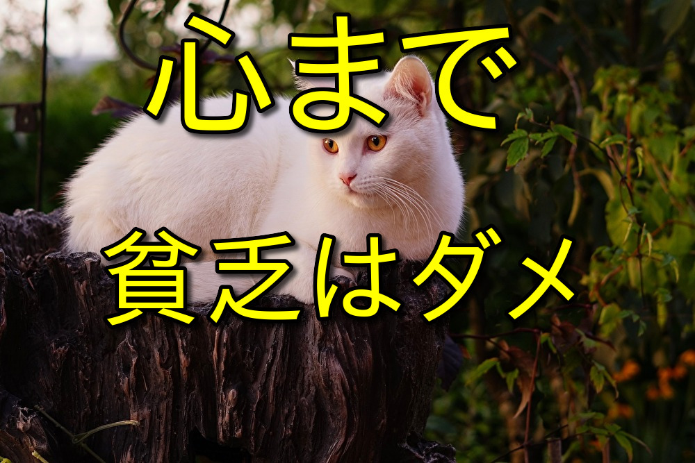 年収200万円以下が語る金銭面では貧乏でも心まで貧乏になってはダメ