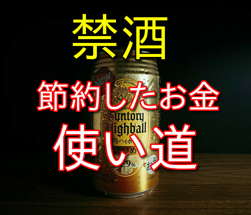 禁酒で節約したお金の使い道を考えてみた【投資・書籍代・貯金・浪費】