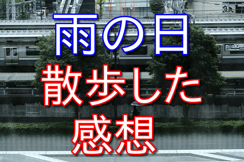 散歩大好き人間が雨の日に散歩した感想を話してみる