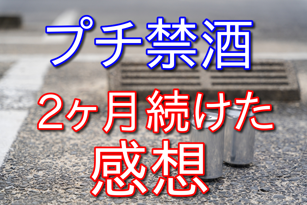 酒大好き人間がプチ禁酒を2ヶ月続けて変わったこと【26日禁酒成功】