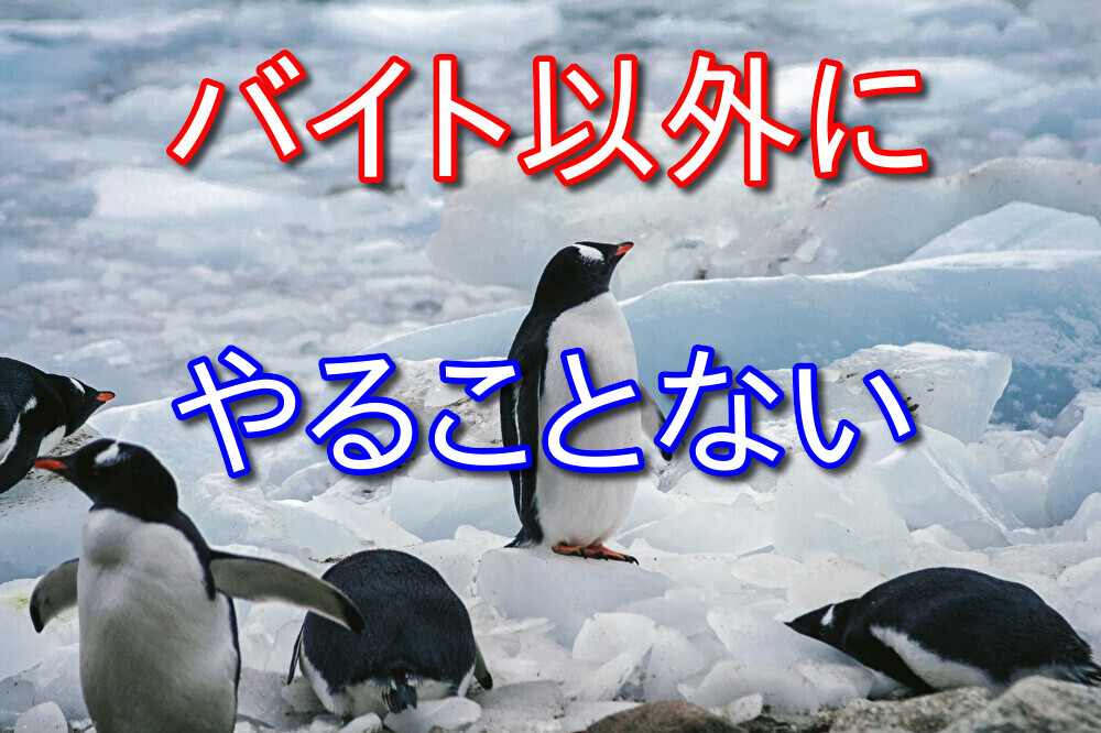 バイト以外にやることがないフリーターの人に伝えたいこと【体験談あり】