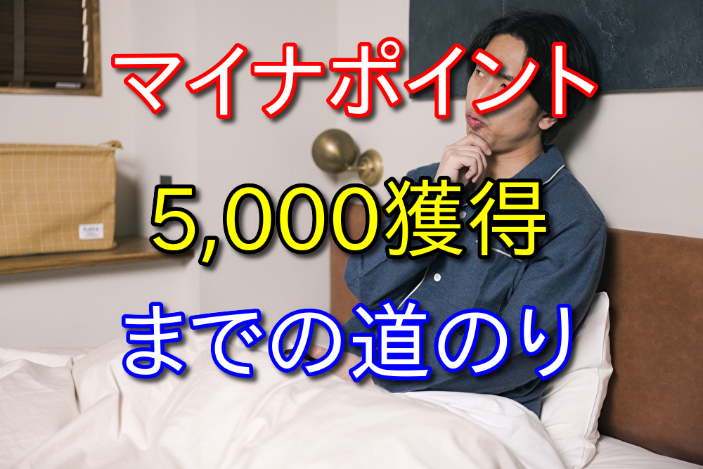 マイナポイント5,000獲得のために2万円を何に使うか迷う