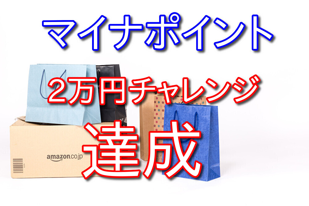 マイナポイント2万円チャレンジ達成【ジーンズを2着買った】