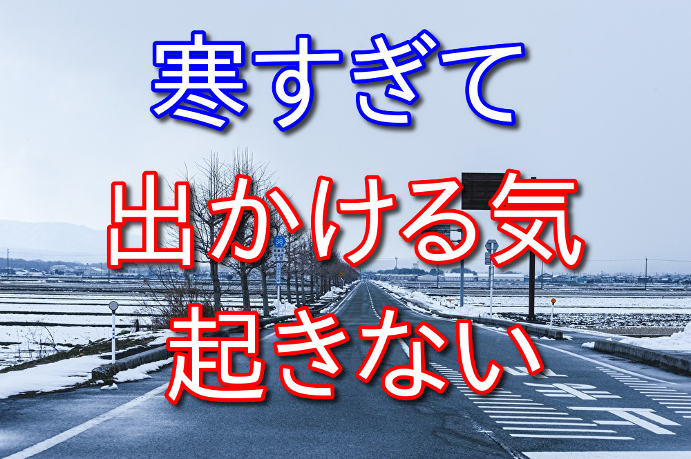 【フリーターの休日12】寒いと出かける気力がなくなる【家でのんびり】