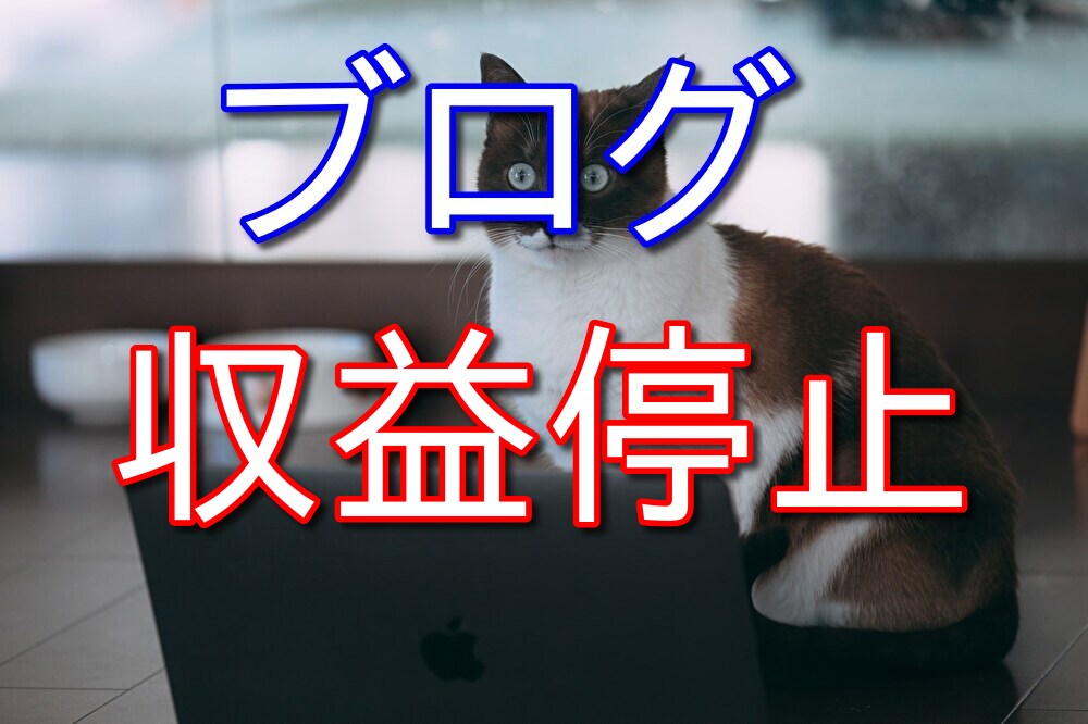 ブログ収益化が停止されたのでしばらく更新頻度は落ちるかもしれません