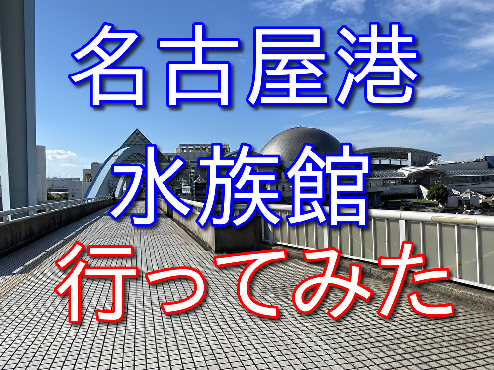 【フリーターの休日23】自転車で懐かしの名古屋港水族館まで行ってみた