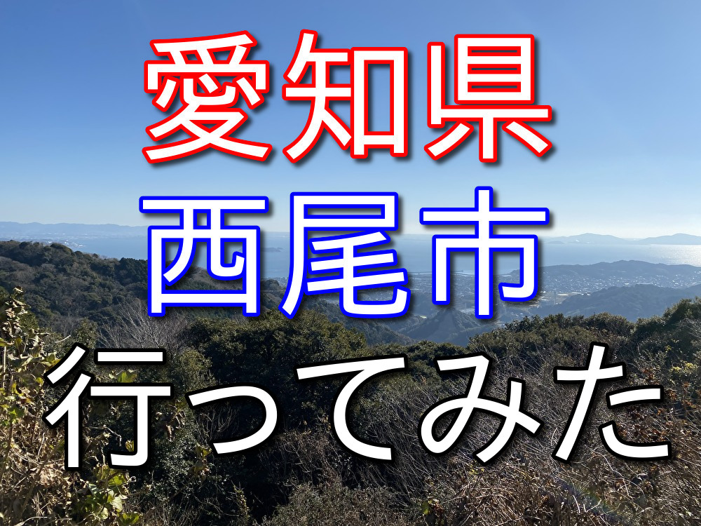 【フリーターの休日28】年末に海鮮の買い出しに行った話【愛知県西尾市】