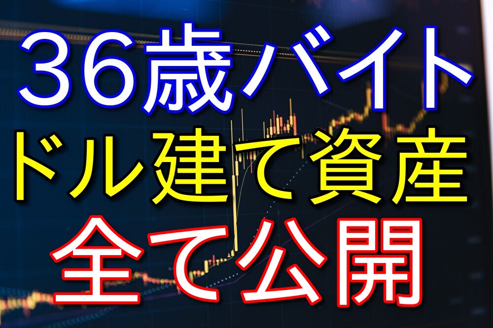 36歳フリーターが保有しているドル建て資産を全て紹介【米国ETFなど】