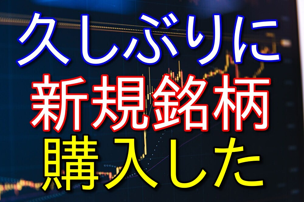 【株式投資】久しぶりに新しい銘柄を買ったので紹介【36歳フリーター】